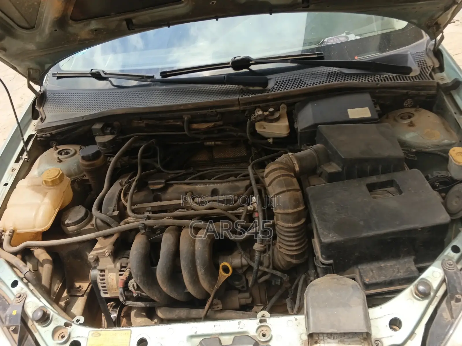 Ford Focus 2004 Green