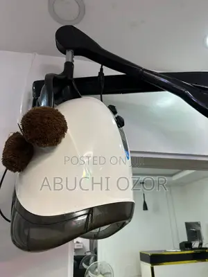 Professional Wall-Mounted Hooded Hair Dryer (Equator 3000)