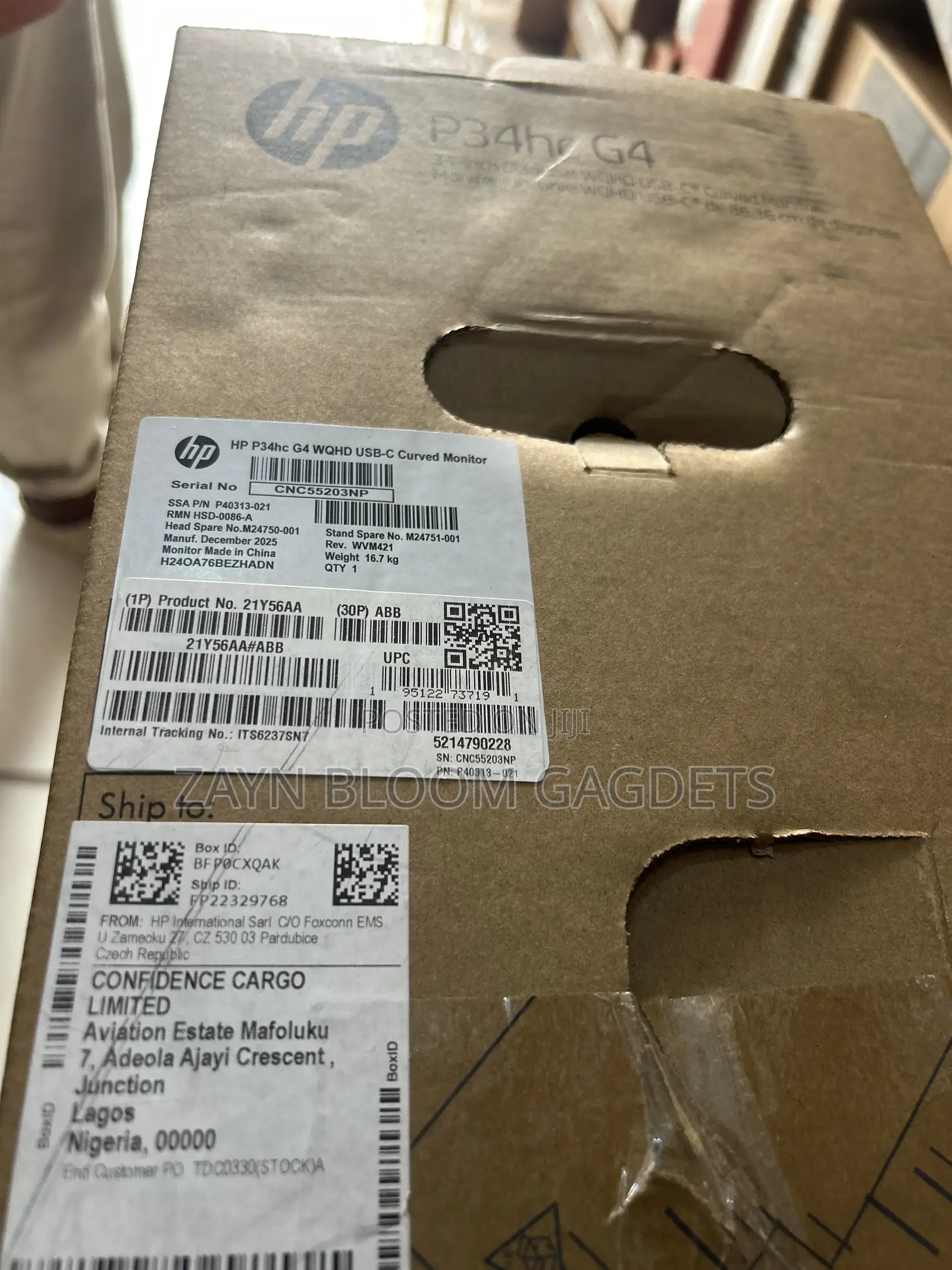 HP Monitor