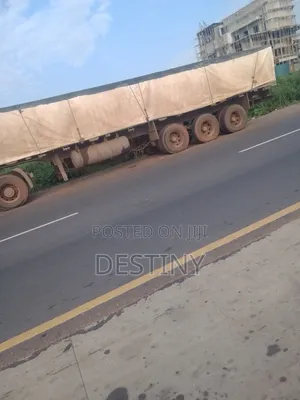 Dangote Cement Distributor