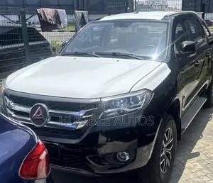 New Dongfeng Captain 2025 Black