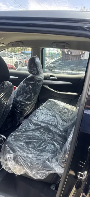 New Dongfeng Captain 2025 Black