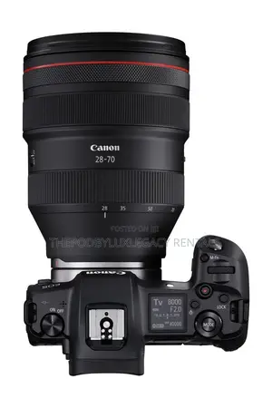 Canon R7 Camera for Rent