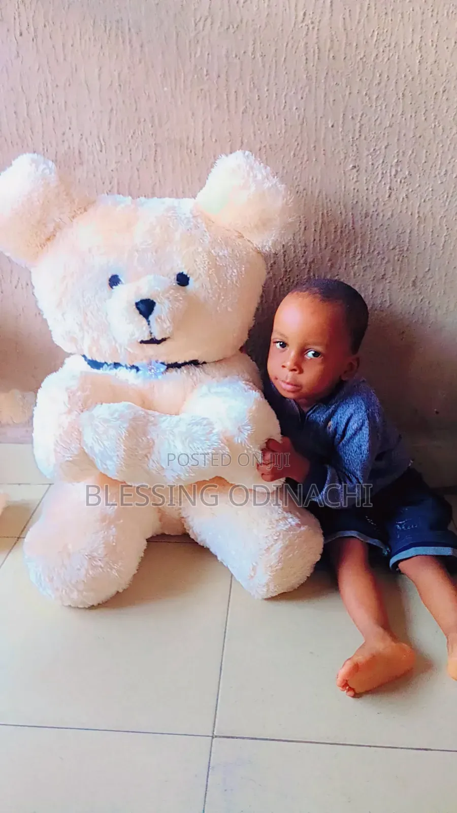 Teddy Bear