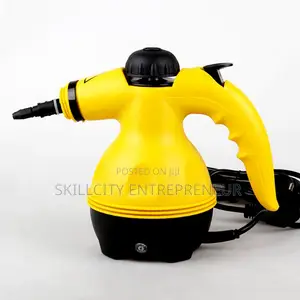 Hand Held Steam Cleaner