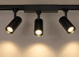 3 in 1 Tracklight
