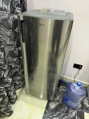 LG Standind Fridge