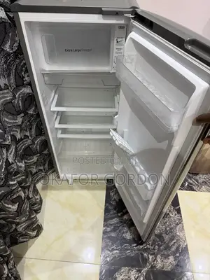 LG Standind Fridge