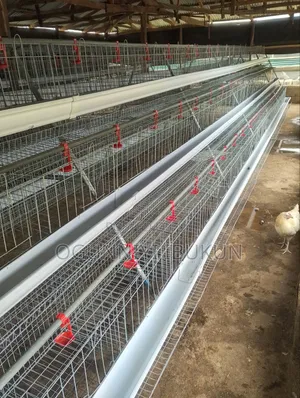 Battery Cage