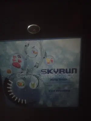 Skyrun Fridge With Top Freezer
