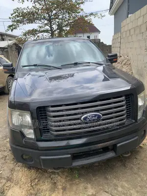 Ford F-150 FX4 2011 Black