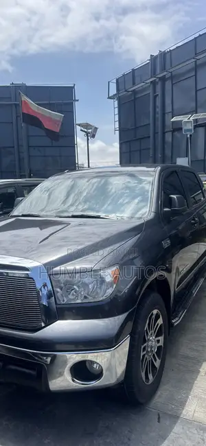 Toyota Tundra SR5 FFV 4dr Double Cab 4WD SB (5.7L 8cyl 6A) 2014 Gray
