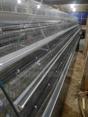 120 Bird's Capacity Per Unit