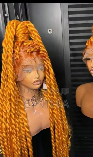 Braided Wigs/Hair