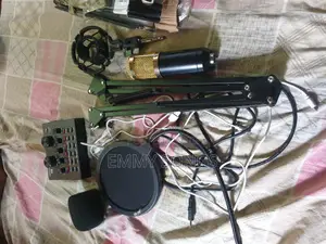 Professional Condenser Mic