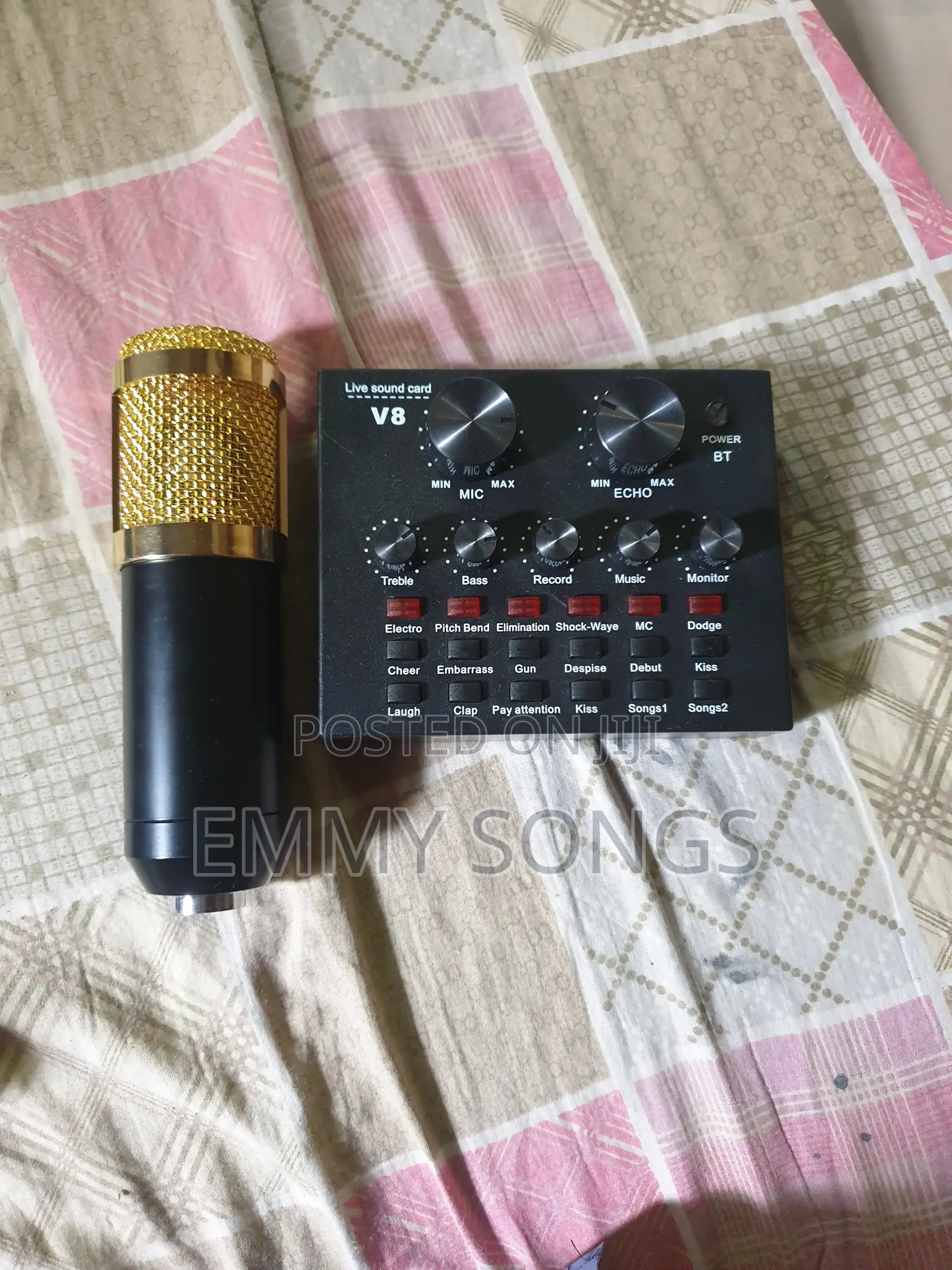 Professional Condenser Mic