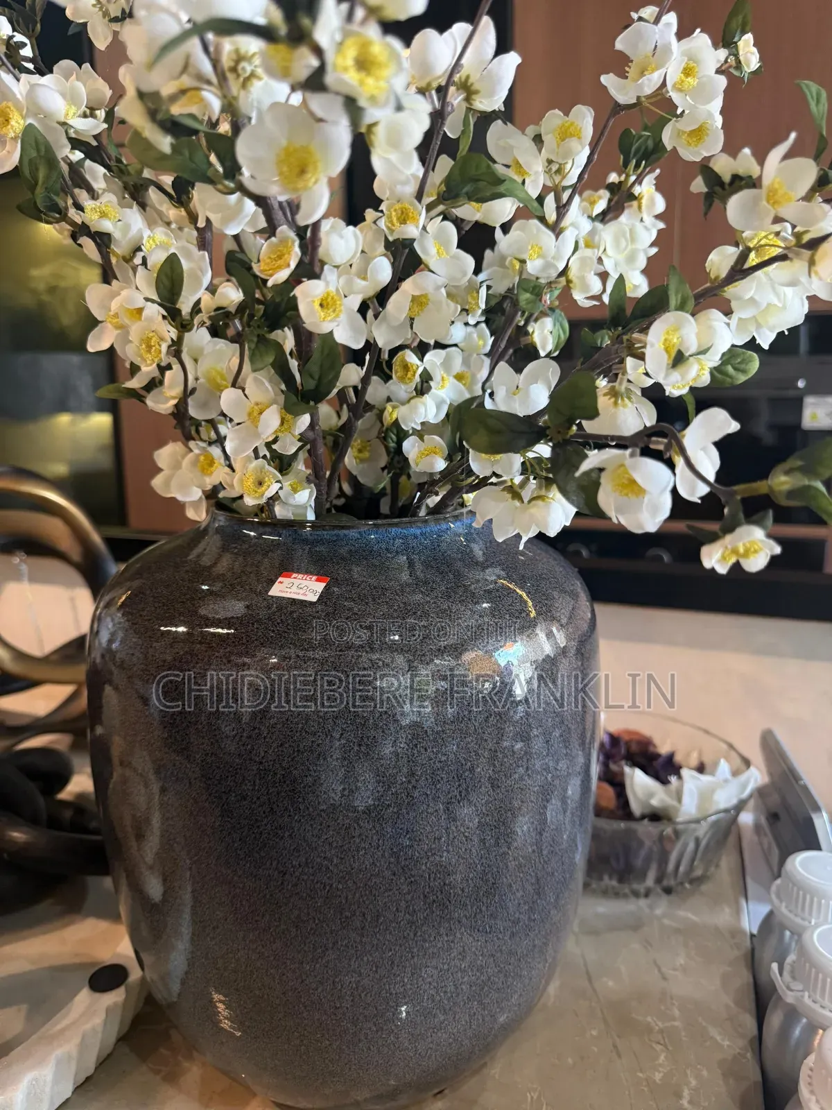 Vase and Flower