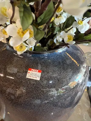 Vase and Flower