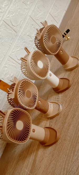 Rechargeable Fans