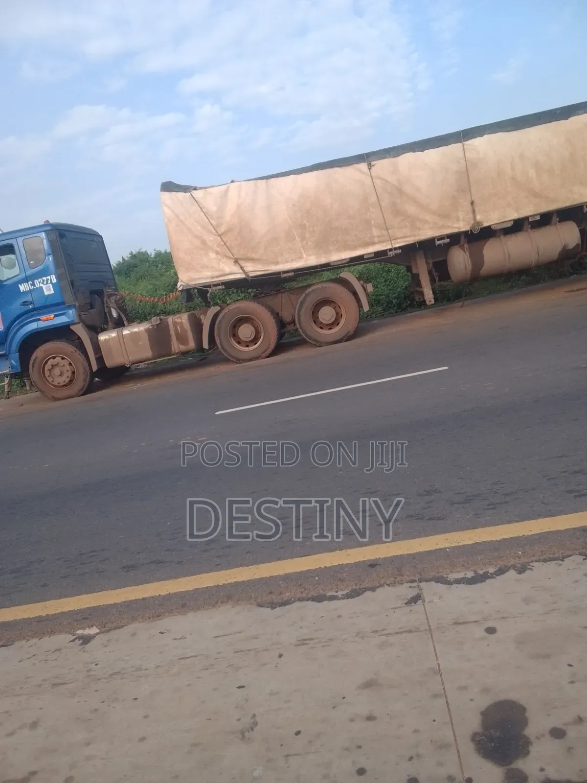 Dangote Cement Distributor