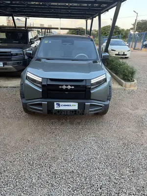 BYD Leopard 3 2025 Green