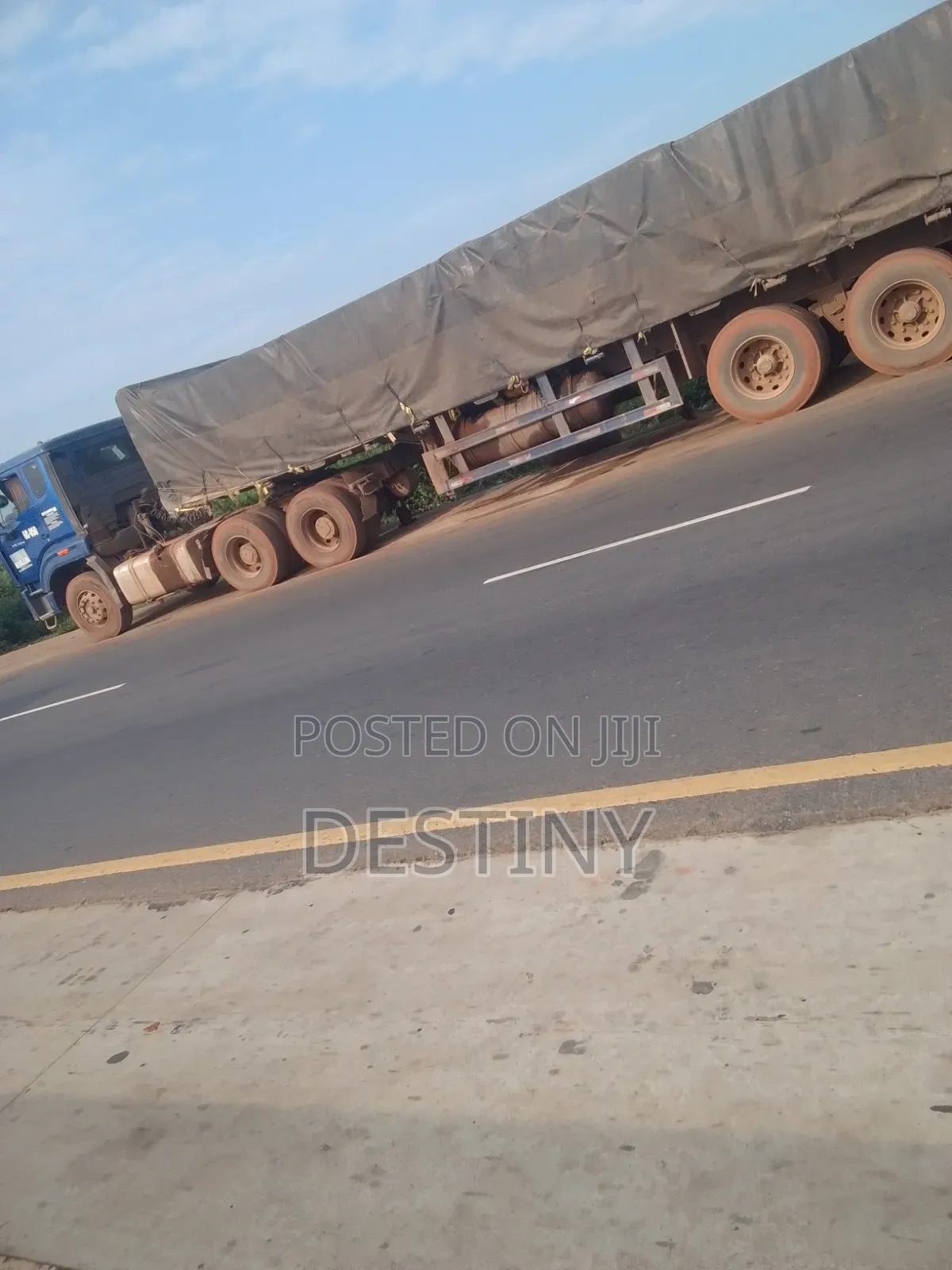 Dangote Cement Distributor