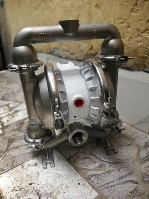 M4 Stainless Wilden Double Diaphragm Pump