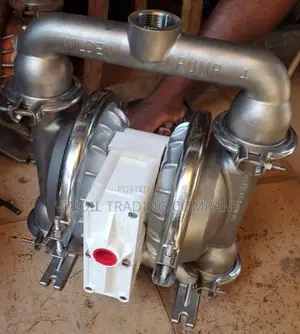 M4 Stainless Wilden Double Diaphragm Pump