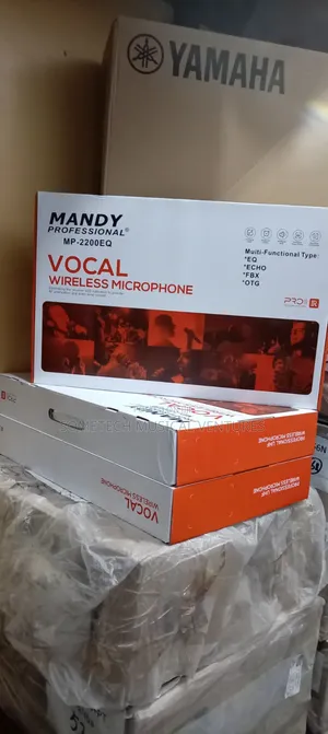 MANDY Professional Wireless Microphone