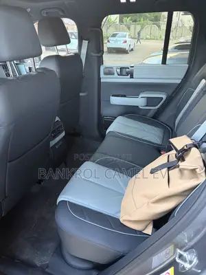 New BYD Leopard 5 2025 Gray