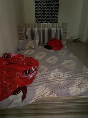Bed Frame and Mattress