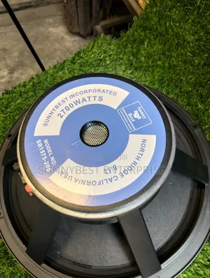 15 Inches Speaker Single Magnet 75.5coil