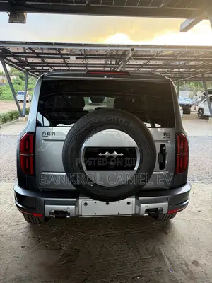 New BYD Leopard 5 2025 Gray