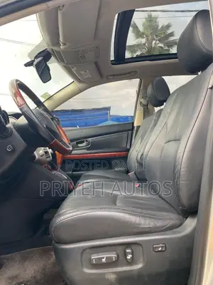 Lexus RX 350 2010 Silver