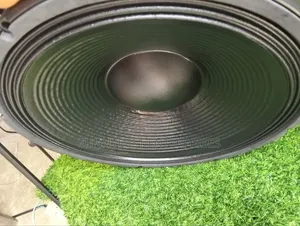 15 Inches Speaker Double Magnet 100 Coil