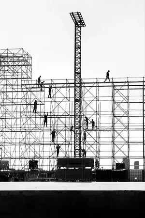 Professional Scaffolding Services