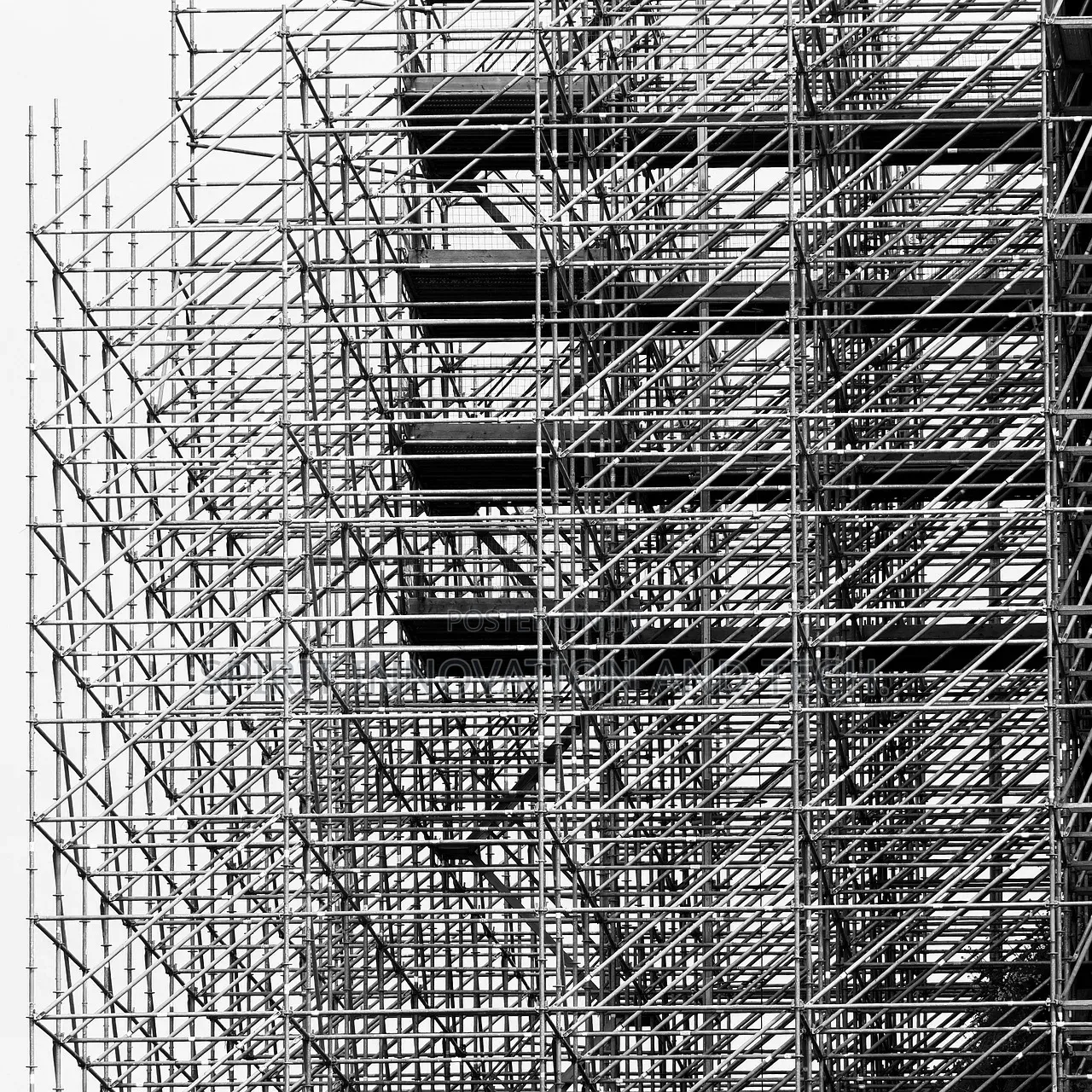 Professional Scaffolding Services