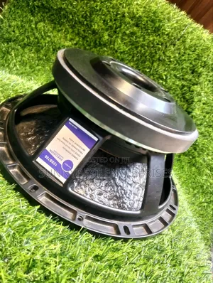 12 Inches Speaker Single Magnet 100coil