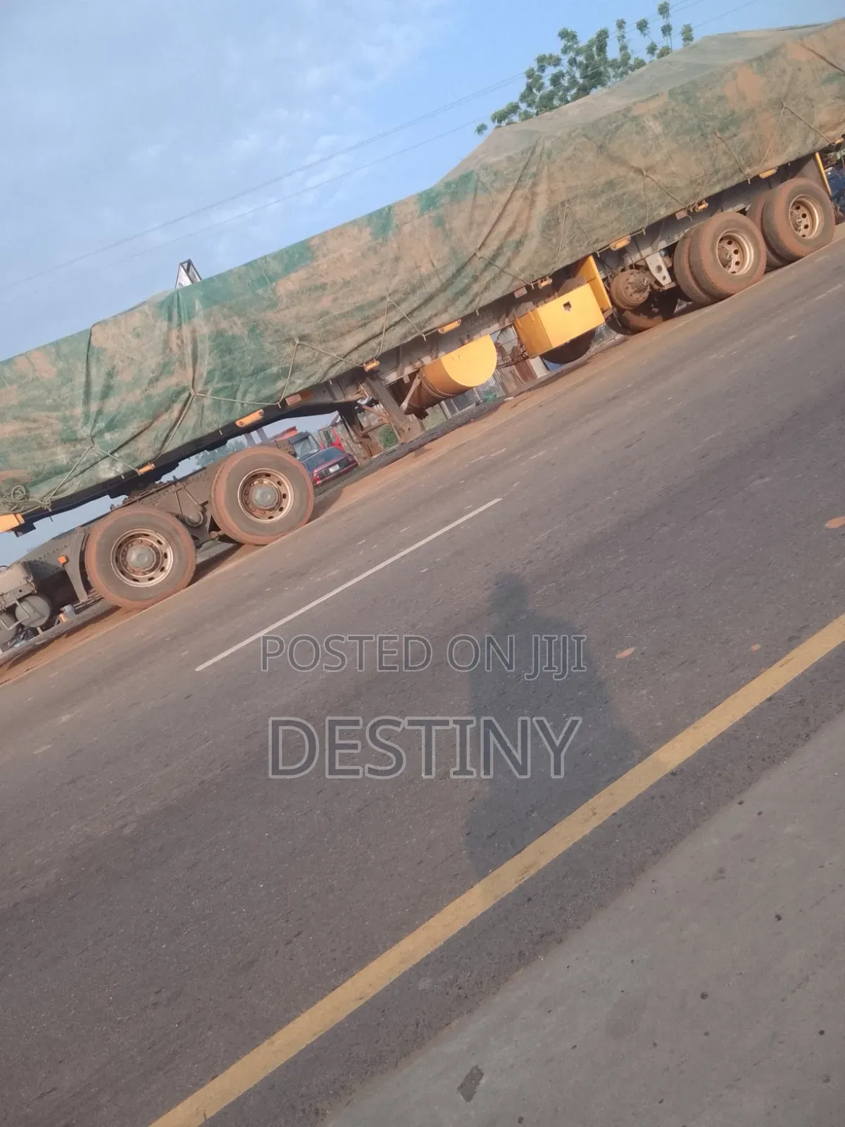 Dangote Cement Distributor