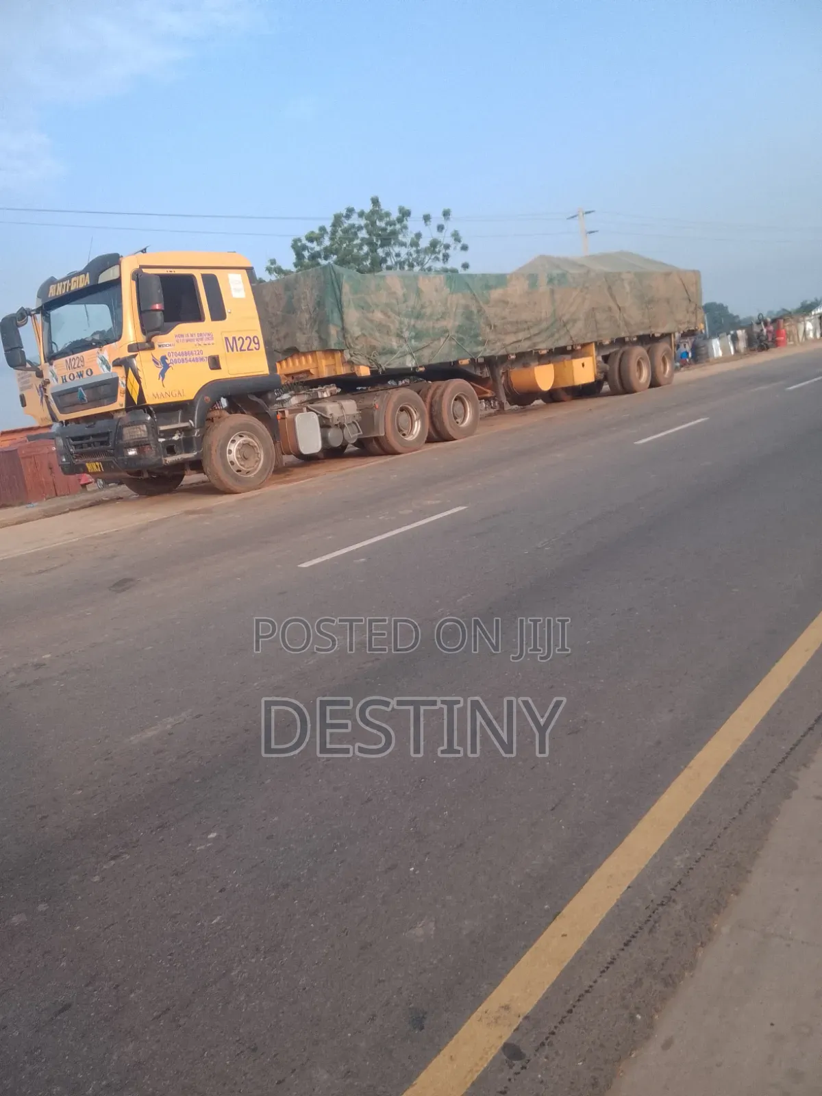 Dangote Cement Dealer