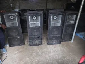 Sound Prince SP228 Fullrange Speaker
