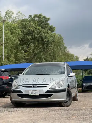 Peugeot 307 SW 2004 Silver
