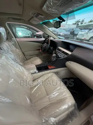 Lexus RX 2010 White