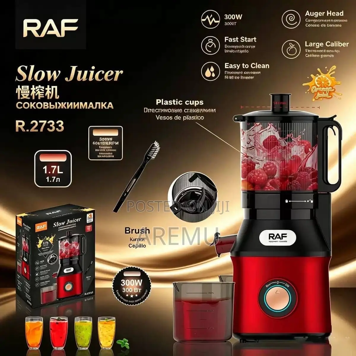 Raf Slow Juicer