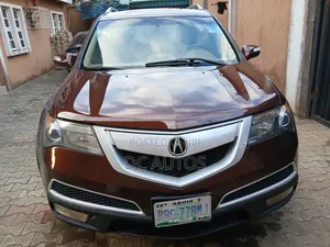 Acura MDX 2011 Brown
