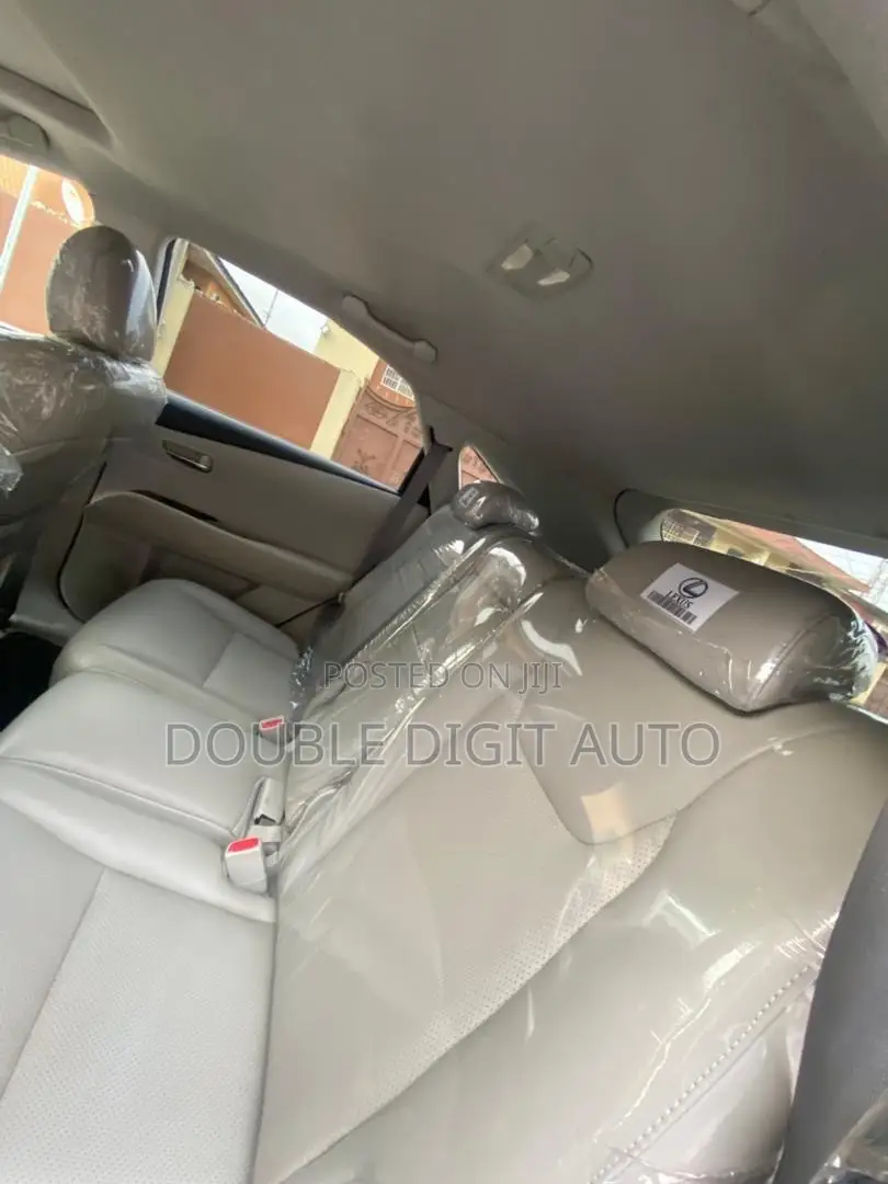 Lexus RX 2010 Gray