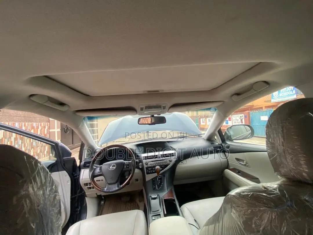 Lexus RX 2010 Gray