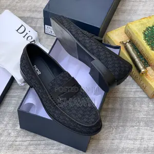 Christian Dior Luxury Print Loafers