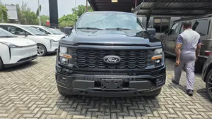 Ford F-150 2025 Black
