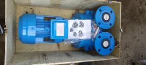 Vacuum Pump